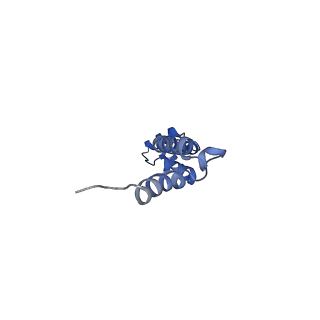 30215_7bv8_R_v1-3
Mature 50S ribosomal subunit from RrmJ knock out E.coli strain