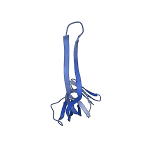 30215_7bv8_S_v1-2
Mature 50S ribosomal subunit from RrmJ knock out E.coli strain