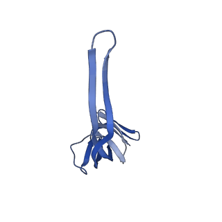 30215_7bv8_S_v1-3
Mature 50S ribosomal subunit from RrmJ knock out E.coli strain