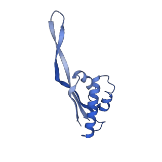 30215_7bv8_T_v1-2
Mature 50S ribosomal subunit from RrmJ knock out E.coli strain