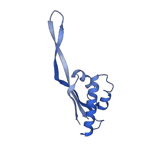 30215_7bv8_T_v1-3
Mature 50S ribosomal subunit from RrmJ knock out E.coli strain