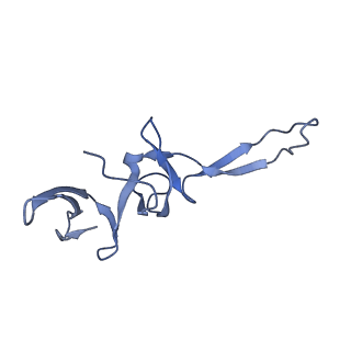 30215_7bv8_V_v1-2
Mature 50S ribosomal subunit from RrmJ knock out E.coli strain