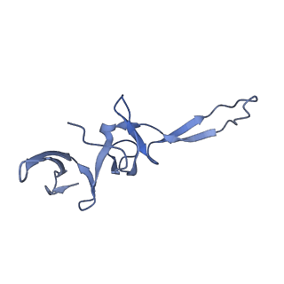 30215_7bv8_V_v1-3
Mature 50S ribosomal subunit from RrmJ knock out E.coli strain