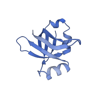 30215_7bv8_W_v1-2
Mature 50S ribosomal subunit from RrmJ knock out E.coli strain