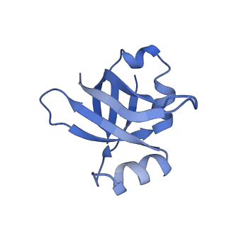 30215_7bv8_W_v1-3
Mature 50S ribosomal subunit from RrmJ knock out E.coli strain