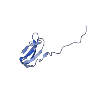 30215_7bv8_X_v1-2
Mature 50S ribosomal subunit from RrmJ knock out E.coli strain