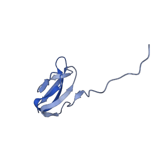 30215_7bv8_X_v1-3
Mature 50S ribosomal subunit from RrmJ knock out E.coli strain