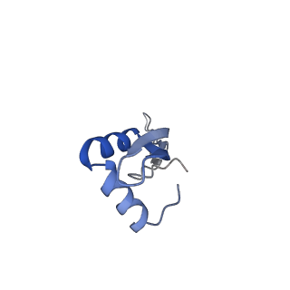 30215_7bv8_Y_v1-2
Mature 50S ribosomal subunit from RrmJ knock out E.coli strain
