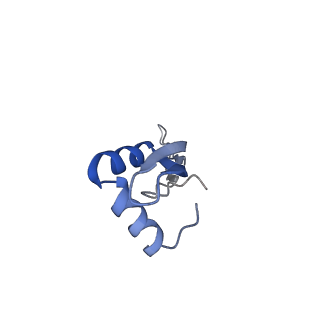 30215_7bv8_Y_v1-3
Mature 50S ribosomal subunit from RrmJ knock out E.coli strain