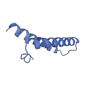 30215_7bv8_Z_v1-2
Mature 50S ribosomal subunit from RrmJ knock out E.coli strain