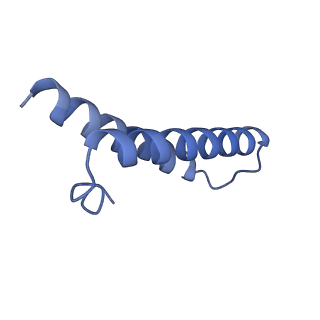 30215_7bv8_Z_v1-3
Mature 50S ribosomal subunit from RrmJ knock out E.coli strain