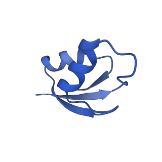 30215_7bv8_a_v1-3
Mature 50S ribosomal subunit from RrmJ knock out E.coli strain