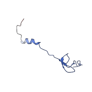 30215_7bv8_b_v1-2
Mature 50S ribosomal subunit from RrmJ knock out E.coli strain
