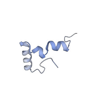 30215_7bv8_d_v1-2
Mature 50S ribosomal subunit from RrmJ knock out E.coli strain