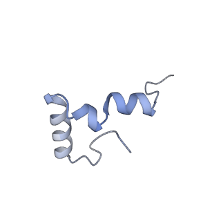 30215_7bv8_d_v1-3
Mature 50S ribosomal subunit from RrmJ knock out E.coli strain