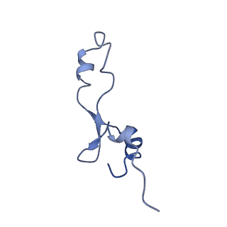 30215_7bv8_e_v1-2
Mature 50S ribosomal subunit from RrmJ knock out E.coli strain