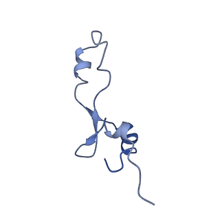 30215_7bv8_e_v1-3
Mature 50S ribosomal subunit from RrmJ knock out E.coli strain