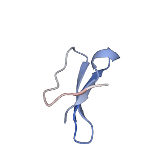 30215_7bv8_f_v1-2
Mature 50S ribosomal subunit from RrmJ knock out E.coli strain
