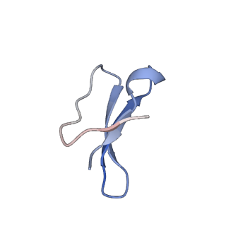 30215_7bv8_f_v1-3
Mature 50S ribosomal subunit from RrmJ knock out E.coli strain