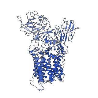 30216_7bvc_A_v1-2
Cryo-EM structure of Mycobacterium smegmatis arabinosyltransferase EmbA-EmbB-AcpM2 in complex with ethambutol