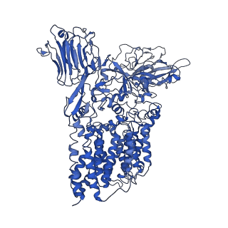 30216_7bvc_B_v1-2
Cryo-EM structure of Mycobacterium smegmatis arabinosyltransferase EmbA-EmbB-AcpM2 in complex with ethambutol