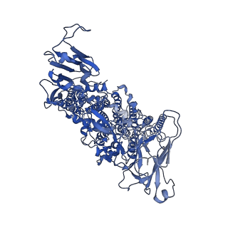 30217_7bve_A_v1-2
Cryo-EM structure of Mycobacterium smegmatis arabinosyltransferase EmbC2-AcpM2 in complex with ethambutol
