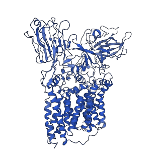 30219_7bvg_A_v1-2
Cryo-EM structure of Mycobacterium smegmatis arabinosyltransferase EmbA-EmbB-AcpM2 in complex with di-arabinose.