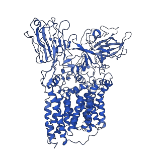 30219_7bvg_A_v2-1
Cryo-EM structure of Mycobacterium smegmatis arabinosyltransferase EmbA-EmbB-AcpM2 in complex with di-arabinose.