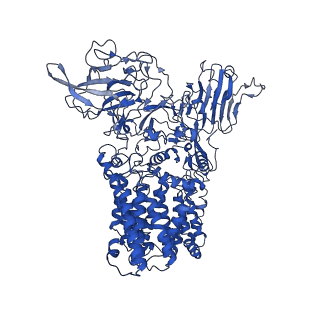 30219_7bvg_B_v1-2
Cryo-EM structure of Mycobacterium smegmatis arabinosyltransferase EmbA-EmbB-AcpM2 in complex with di-arabinose.