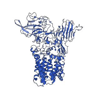 30219_7bvg_B_v2-1
Cryo-EM structure of Mycobacterium smegmatis arabinosyltransferase EmbA-EmbB-AcpM2 in complex with di-arabinose.