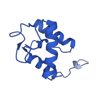 30219_7bvg_P_v1-2
Cryo-EM structure of Mycobacterium smegmatis arabinosyltransferase EmbA-EmbB-AcpM2 in complex with di-arabinose.