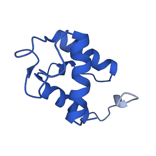 30219_7bvg_P_v2-1
Cryo-EM structure of Mycobacterium smegmatis arabinosyltransferase EmbA-EmbB-AcpM2 in complex with di-arabinose.