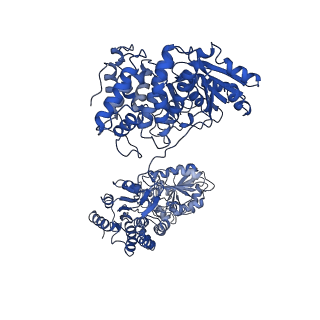 30220_7bvp_B_v1-1
AdhE spirosome in extended conformation