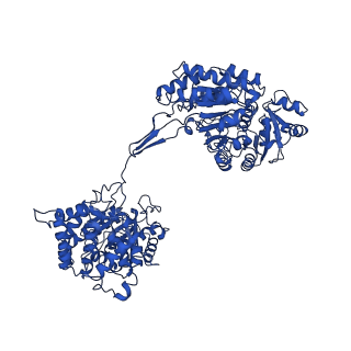 30220_7bvp_C_v1-1
AdhE spirosome in extended conformation