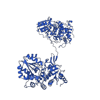 30220_7bvp_D_v1-1
AdhE spirosome in extended conformation