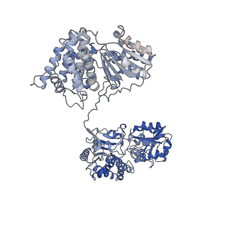 30220_7bvp_F_v1-1
AdhE spirosome in extended conformation