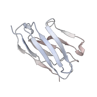 16280_8bw7_B_v1-2
Cryo-EM structure of rat SLC22A6 bound to alpha-ketoglutaric acid