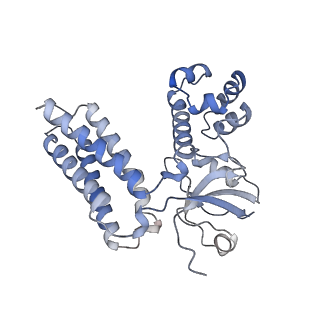 16281_8bw9_B_v1-2
Cryo-EM structure of the RAF activating complex KSR-MEK-CNK-HYP