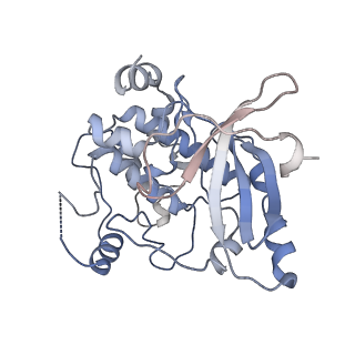 16281_8bw9_C_v1-2
Cryo-EM structure of the RAF activating complex KSR-MEK-CNK-HYP