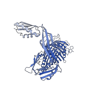 16282_8bwc_A_v1-2
E. coli BAM complex (BamABCDE) wild-type