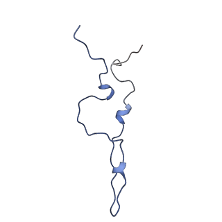 16282_8bwc_C_v1-2
E. coli BAM complex (BamABCDE) wild-type