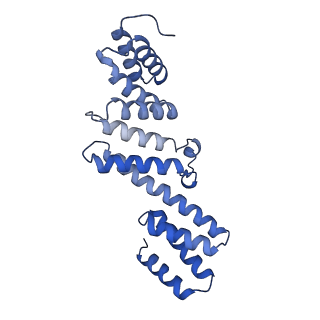 16282_8bwc_D_v1-2
E. coli BAM complex (BamABCDE) wild-type