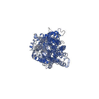 16292_8bwo_A_v1-2
Cryo-EM structure of nanodisc-reconstituted human MRP4 with E1202Q mutation (outward-facing occluded conformation)