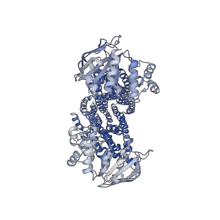 16293_8bwp_A_v1-2
Cryo-EM structure of nanodisc-reconstituted wildtype human MRP4 (in complex with methotrexate)