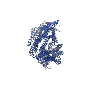 16294_8bwq_A_v1-2
Cryo-EM structure of nanodisc-reconstituted wildtype human MRP4 (in complex with topotecan)