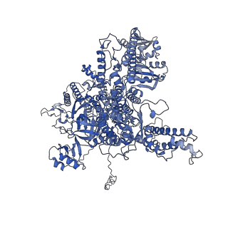 16299_8bws_A_v1-0
Structure of yeast RNA Polymerase III elongation complex at 3.3 A