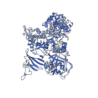 16299_8bws_B_v1-0
Structure of yeast RNA Polymerase III elongation complex at 3.3 A
