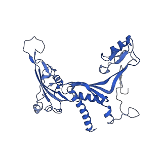 16299_8bws_C_v1-0
Structure of yeast RNA Polymerase III elongation complex at 3.3 A