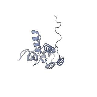 16299_8bws_D_v1-0
Structure of yeast RNA Polymerase III elongation complex at 3.3 A