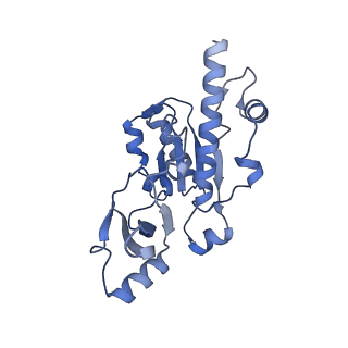 16299_8bws_E_v1-0
Structure of yeast RNA Polymerase III elongation complex at 3.3 A